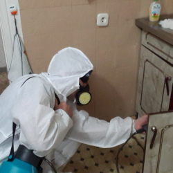 Дезинфекция от муравьев в квартире в Восточном районе Москвы