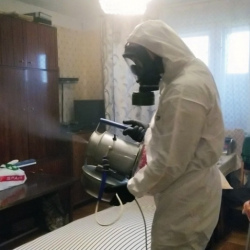 Дезинфекция от клопов в Восточном районе Москвы
