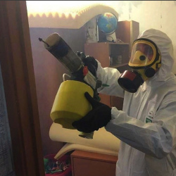 Уничтожение клопов в квартире. Восточный